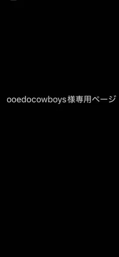 専用ページ