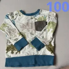 新品に近い　秋服　ハッカキッズ　男児トレーナー　100 ダイナソー