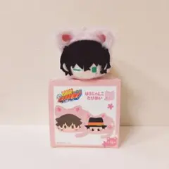 家庭教師ヒットマンREBORN! はるにゃんこたぴぬい 大人ランボ リボーンのサムネイル