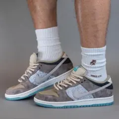 Nike SB Dunk Low Pro 