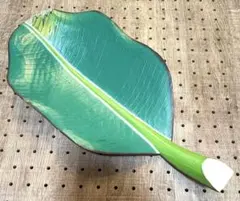 Item thumbnail for item 08f37b3b-b449-4949-b723-83adef9b1f7b