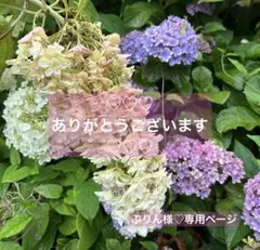 ぷりん様♡おまとめ専用ページ