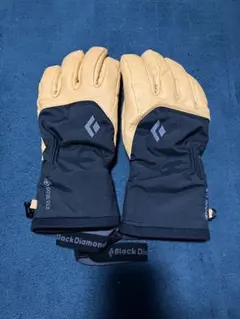 最終値下げ】ゴールドウィンGORE-TEX Glove G84302 Sサイズ - メルカリ