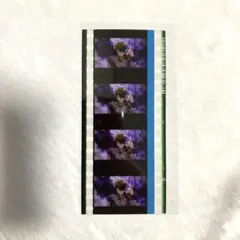 ヒプマイ 来場者特典 コマフィルム 四十物十四