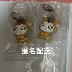 とっとこハム太郎 めじるしアクセサリー ちゅりー！　トンガリくん