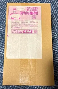 新品未開封 ポケモンセンター ヒロシマ スペシャルBOX　段ボール未開封