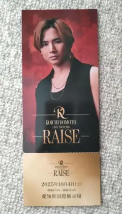 堂本光一 RAISE 会場限定 メモリアルチケット