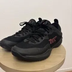 アシックス　グライドノバFF3