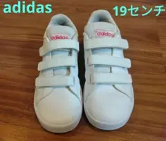 adidas スニーカー 19cm