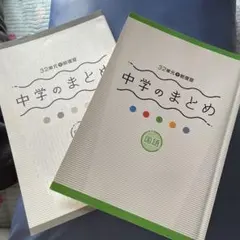 しろ様 リクエスト 2点 まとめ商品