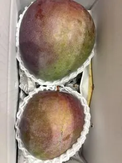 沖縄県産 レッドキーツマンゴー 2玉2キロのサムネイル