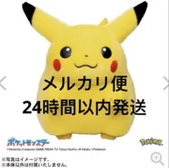 ポケモン　30周年記念　おかえり!ピカチュウ1/1