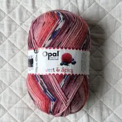 opal 6754 Sweet & Spicy 未使用