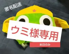 ☆【レア】ポケモン レックウザ ポケパーク2005 なりきりキャップ 帽子