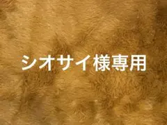 ☆シオサイ様☆リクエスト専用商品