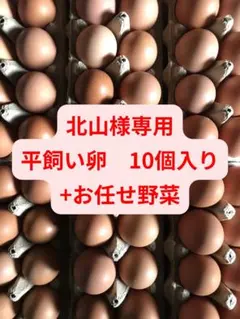 【北山様専用3】平飼い卵10個入りのサムネイル