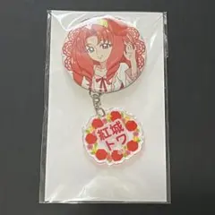 Go！プリンセスプリキュア マルイ 出張店 お名前缶バッジ 紅城トワ