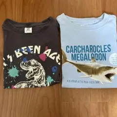 半袖Tシャツ　130サイズ 2枚セットのサムネイル