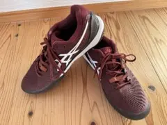 ゲルレゾリューション 26