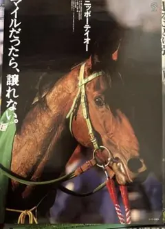 ニッポーテイオー　JRA ヒーロー列伝 B3ポスター