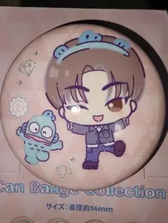 SEVENTEEN　サンリオコラボ　DINO