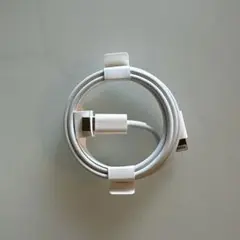 Cタイプ 充電ケーブル Apple純正