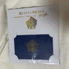 【新品未使用】嵐のワクワク学校 2019 バッジ Hey! Say! JUMP