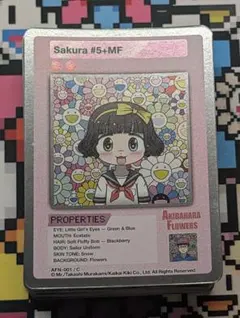15box AKIHABARA FLOWERS カイカイキキ - メルカリ