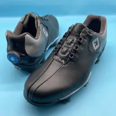 Item thumbnail for item b191df08-2b27-4d8c-a874-d325a5dc0190