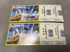 ナガシマスパーランド ジャンボ海水プール 招待券 3枚セット - メルカリ