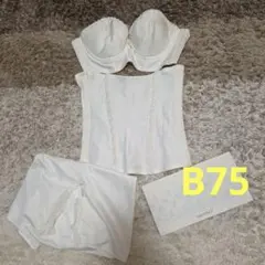 【お値下】ブライダルインナー B75 hugge bridal