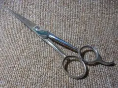 Item thumbnail for item 406439c1-afb8-4113-93f0-fc06e57ee1ae