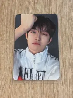 ALD1 本国ショーケース　トレカ　ゴヌ