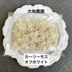 R&B様 リクエスト 2点 まとめ商品