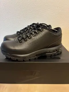 Nike Air Max Goadome Low SP black