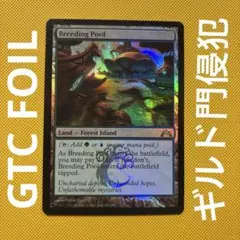 mtg 繁殖池　ディセンション　英語　初版　foil Foil】《繁殖池/Breeding Pool》[DIS] 土地R | 日本最大級 MTG通販