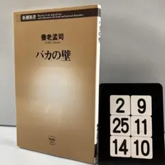 バカの壁 2-9*25.14*10