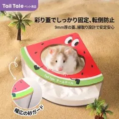 【購入前プロフ必読】ハムスター バスハウス 砂風呂 透明 アクリル スイカ ピザ