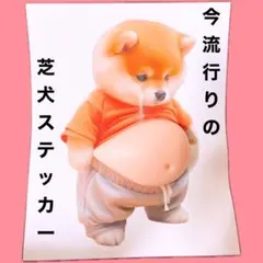 大人気　芝犬　ぷくぷく　シール　可愛い　癖　感覚　SNS 人気　流行り　大きい