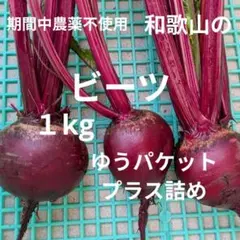 信州産ビーツ】2kg 【有機肥料使用・化学農薬不使用】 - メルカリ
