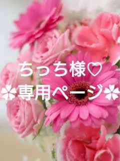 ちっち様♡専用ページ.。.:*♡✿ฺ