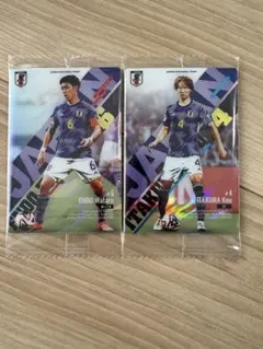 Item thumbnail for item 858dc371-9b65-4b23-94d2-23007e406dd7