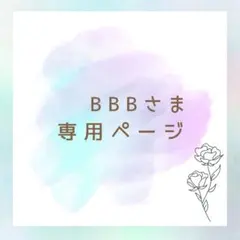 BBB様 リクエスト 3点 購入前にコメントをお読み下さい。