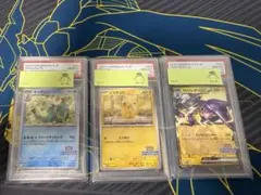 PSA10 ニャオハ アセロラの予感 フリーザー 3枚セット PSA10 ニャオハ アセロラの予感 フリーザー 3枚セット - メルカリ