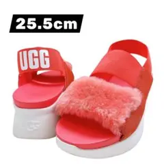 美品 UGG アグ SILVERLAKE ファーサンダル 厚底 25.5 ピンク