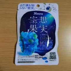 2026年最新】空想果実グミの人気アイテム - メルカリ