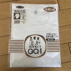 グンゼ 長袖丸首 Tシャツ Mサイズ
