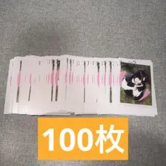 &TEAM TAKI チェキ風トレカBack to life 100枚