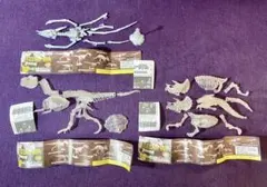 【新品】【超希少】恐竜骨格ミュージアム　フィギュア　3点セットのサムネイル