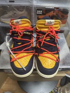 Nike Dunk Low off white